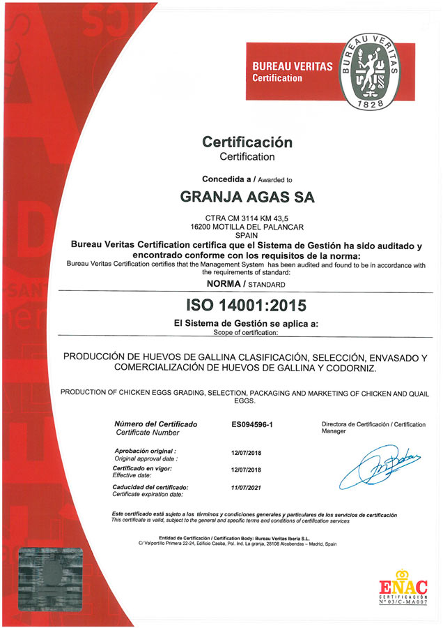 Certificado-ISO-14001-WEB - Alto bailén